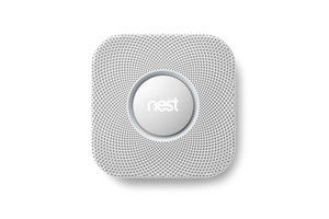 nest from Google